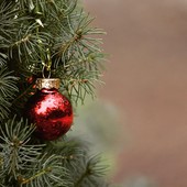 Tradizione e divertimento: questo fine settimana si celebra l'Immacolata nell'Astigiano