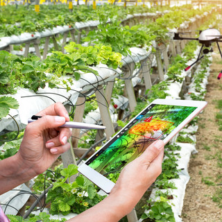 Investimenti produttivi e competitività in agricoltura, in arrivo un bando da 32,5 milioni