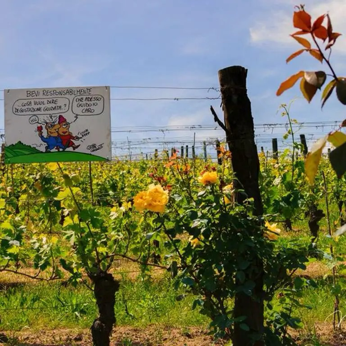 I giovani del Fai di Asti partecipano a &quot;BioBollicine&quot;, evento all'interno di Agrotech per la protezione della biodiversità