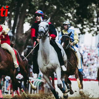 Il cavallo di San Damiano in corsa (Ph Barbara Guazzone)