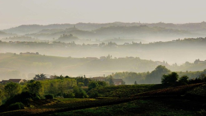 Il Consorzio Asti Docg lancia la sua prima app per smartphone  per la digitalizzazione della filiera vitivinicola