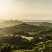 Langhe, Roero e Monferrato superano la soglia del milione e mezzo di pernottamenti. Sei presenze su dieci parlano straniero