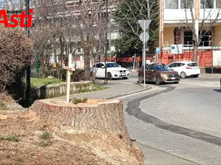 L'albero abbattuto con la croce a ricordo (Merphefoto)