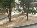 Siccità estiva ai giardini Alganon (Efrem Zanchettin)