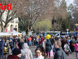 Alcune immagini del carnevale bagnato (Merphefoto)