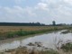 La fase metereologica che si trascina con forti piogge ormai da mesi mette in allarme gli Agricoltori Autonomi Italiani