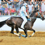 Dino Pes, qui vincitore del Palio 2019 per la Cattedrale