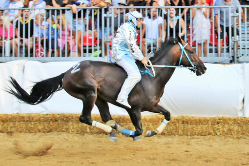 Dino Pes, qui vincitore del Palio 2019 per la Cattedrale