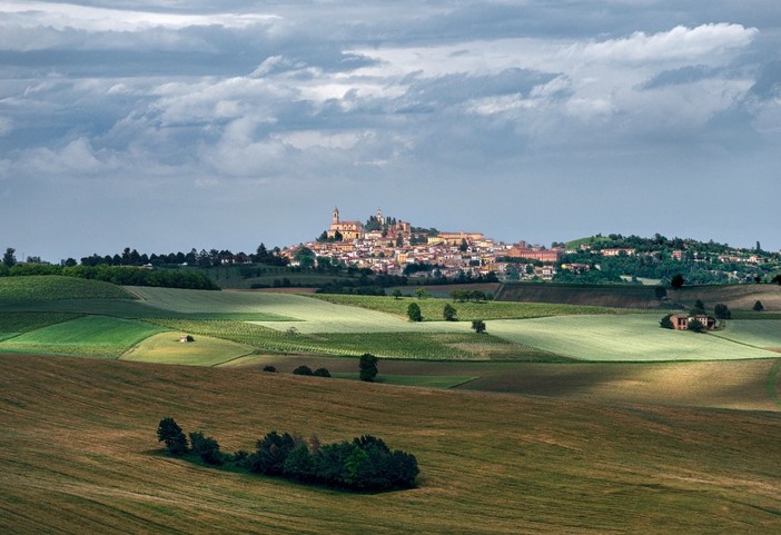 Monferrato di Enzo Isaia