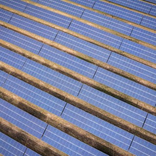 Agrivoltaico: sfatiamo i falsi miti sul Fotovoltaico nei campi