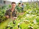 Giovani in agricoltura: anche Asti e l'Astigiano al centro di investimenti regionali