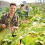 Giovani in agricoltura: anche Asti e l'Astigiano al centro di investimenti regionali