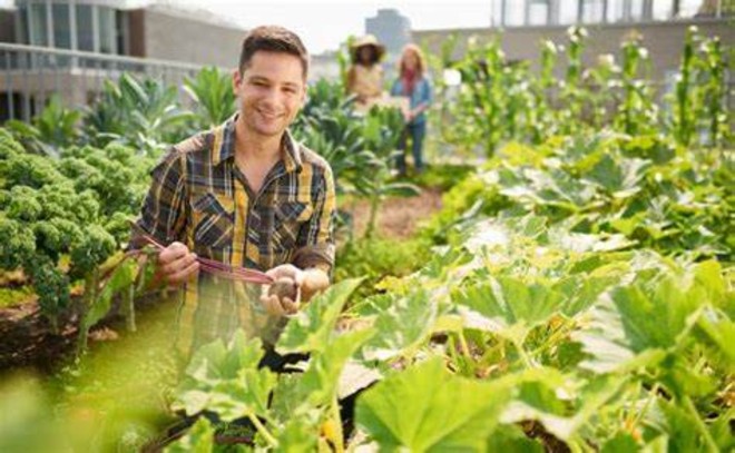 Giovani in agricoltura: anche Asti e l'Astigiano al centro di investimenti regionali