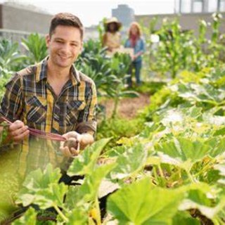 Giovani in agricoltura: anche Asti e l'Astigiano al centro di investimenti regionali