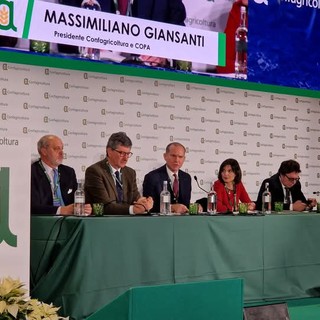 Le sfide globali dell'agricoltura discusse a Roma nell'assemblea di Confagricoltura