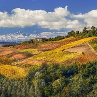 La Meraviglia Unesco: Langhe, Roero e Monferrato attraverso gli occhi di tre fotografi