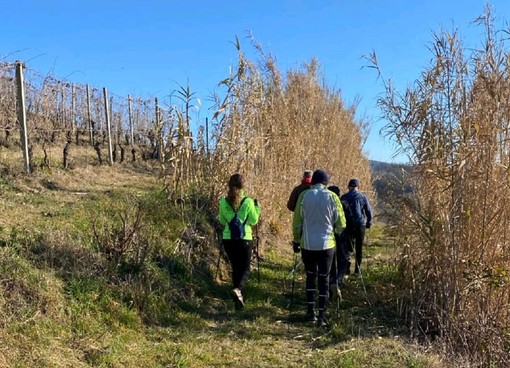 Una nuova settimana all'insegna delle camminate all'aria aperta con il Monferrato Nordic Walking