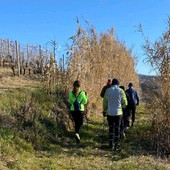 La primavera si &quot;incammina&quot; con le passeggiate del Monferrato nordic walking