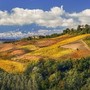 La Meraviglia Unesco: Langhe, Roero e Monferrato attraverso gli occhi di tre fotografi