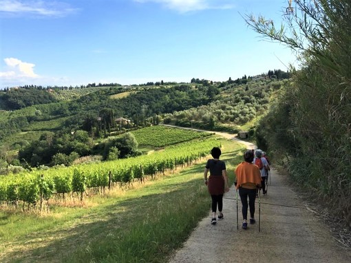 Nuovi appuntamenti con le camminate del Monferrato Nordic Walking