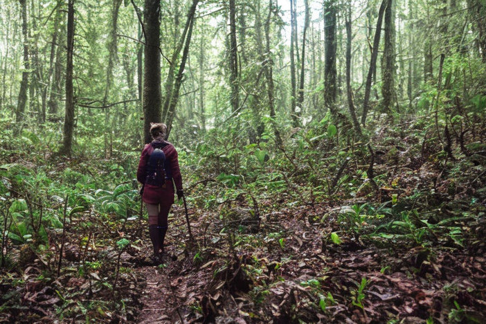 Monferrato Nordic Walking: una settimana di camminate ed eventi