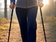 Nordic Walking nel cuore dell'Astigiano: da Rocchetta Palafea a Montabone