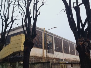 I lavori di potatura degli alberi ieri in corso Pietro Chiesa