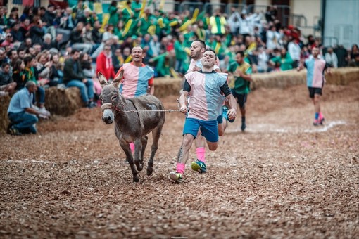 A Cocconato torna il Palio degli asini, nell'ambito di un ricco settembre in &quot;riviera&quot;