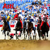 Terminate le prove generali, ultime indicazioni per il Palio [GALLERIA FOTOGRAFICA E VIDEO]