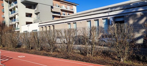 &quot;Il verde intorno al Palazzetto dello Sport di Asti funziona da barriera anti smog: la potatura è eccessiva&quot;