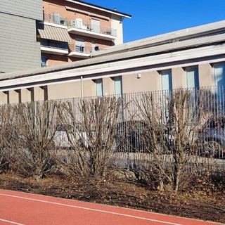 &quot;Il verde intorno al Palazzetto dello Sport di Asti funziona da barriera anti smog: la potatura è eccessiva&quot;