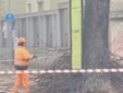 I lavori di potatura degli alberi ieri in corso Pietro Chiesa