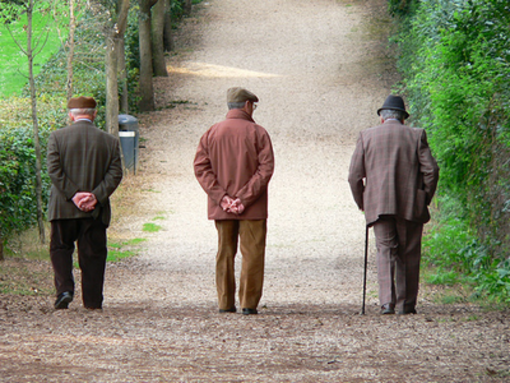 Pensioni, nel 2023 boom di spesa: 347 miliardi per oltre 16 milioni di italiani