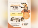 &quot;Trovagatto in uno scatto&quot;: un concorso fotografico per celebrare Freddy, il felino di piazza Vittorio Veneto