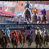 Il Palio di Legnano (sopra) e quello di Ferrara (sotto). (Le immagini sono dei rispettivi enti organizzatori)