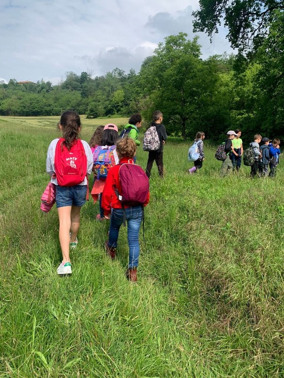 Il progetto BimbiSvegli, diventa associazione e installa una