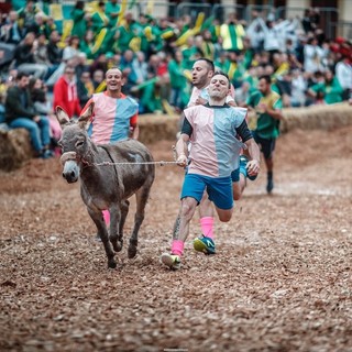 A Cocconato torna il Palio degli asini, nell'ambito di un ricco settembre in &quot;riviera&quot;