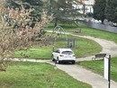 In via Torchio giardini usati come parcheggi e fuochi d'artificio a mezzanotte [VIDEO]