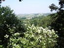 II Comune di Castell'Alfero propone &quot;Quattro passi tra boschi e giardini&quot;