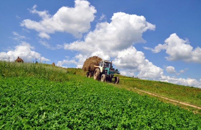 Sviluppo rurale del Piemonte: aperto il bando regionale per la formazione dei consulenti in agricoltura