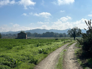 Alcune immagini dell'incontro all'azienda agricola Viarengo