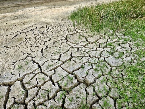 Confagricoltura Piemonte e un 2022 destinato a passare alla storia per la siccità