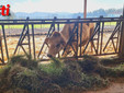 Alcune immagini dell'incontro all'azienda agricola Viarengo