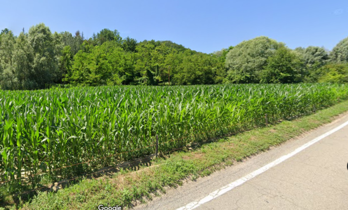 Strada valle Baciglio