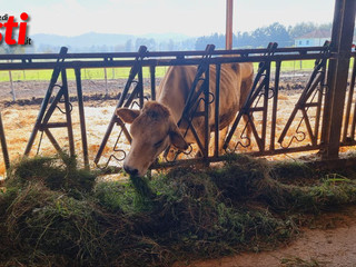 Alcune immagini dell'incontro all'azienda agricola Viarengo