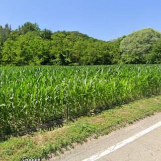 Strada valle Baciglio