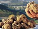 Dal 1° ottobre la “cerca” del tartufo