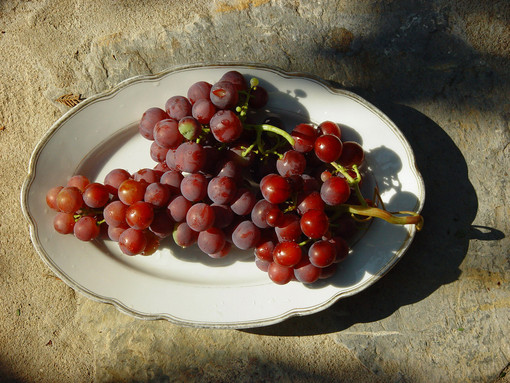 L'Arte Incontra il vino a Costigliole d'Asti