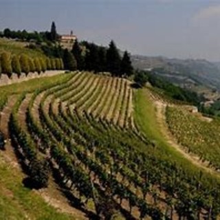 Ente Turismo Langhe Monferrato Roero, il prossimo presidente potrebbe essere espressione dell'Astigiano?