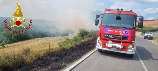 Un incendio sterpaglie coinvolge canneto a Montechiaro